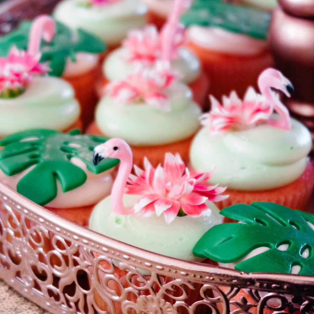 flamingo cupcakes jmeyering creative - J.Meyering Creative